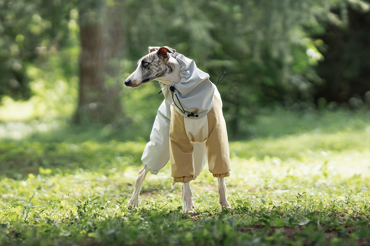 081b1b7c-9e34-4048-924d-797897871756