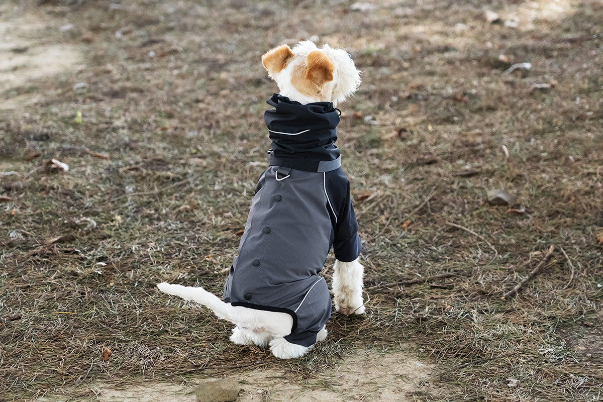 484b5b15-c198-4828-bc56-556163167522