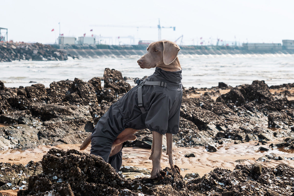 905043a8-07e4-4516-a01a-a5a142f76c6c