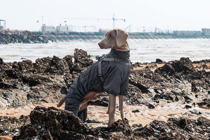 905043a8-07e4-4516-a01a-a5a142f76c6c