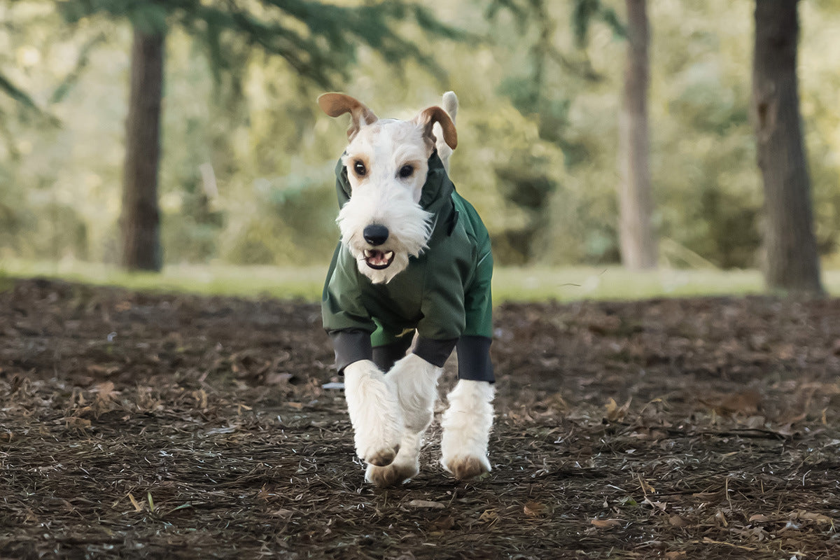 8894683c-10d7-4841-8ee0-c8b8c7c367bb