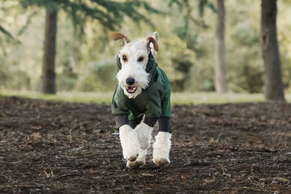 8894683c-10d7-4841-8ee0-c8b8c7c367bb