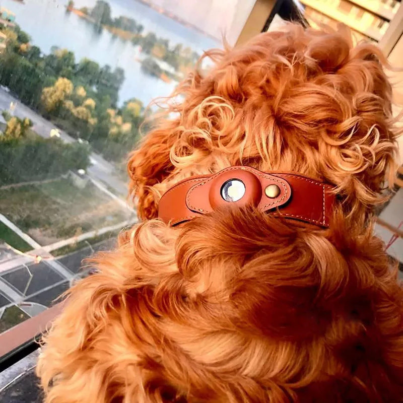 Pet Dog Exclusive AirTag Leather Protective Case Collar Apple Tracker Positioning Anti-Lost Neck Ring
