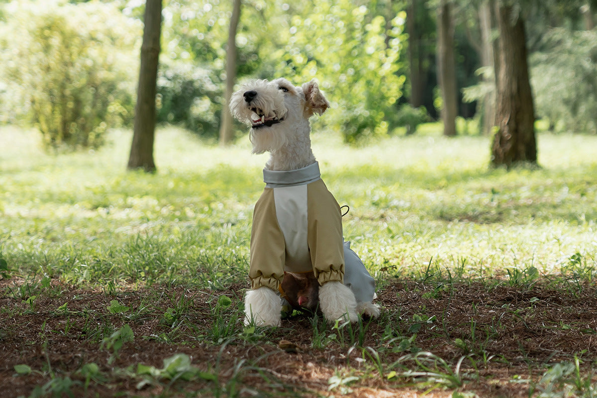 8c2a7f88-ba4f-495e-8419-a3cb986d81e8