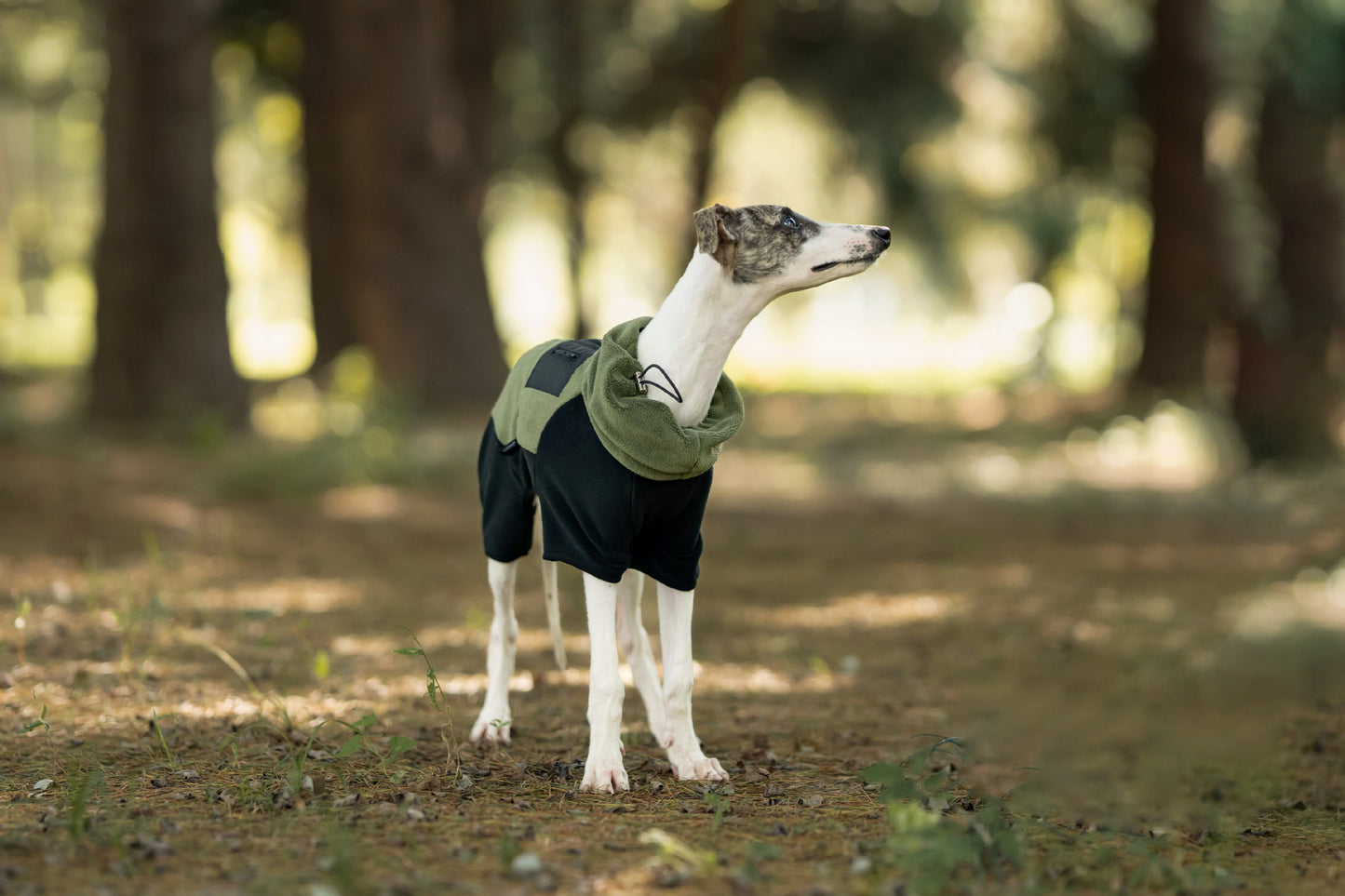 1aea900b-1e6e-47a3-9812-0ea68105de43