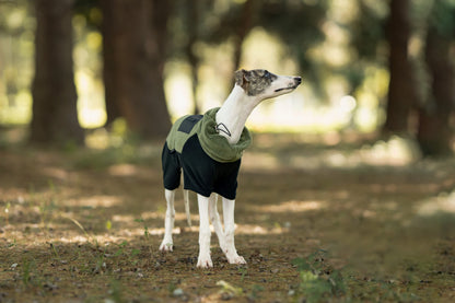 1aea900b-1e6e-47a3-9812-0ea68105de43