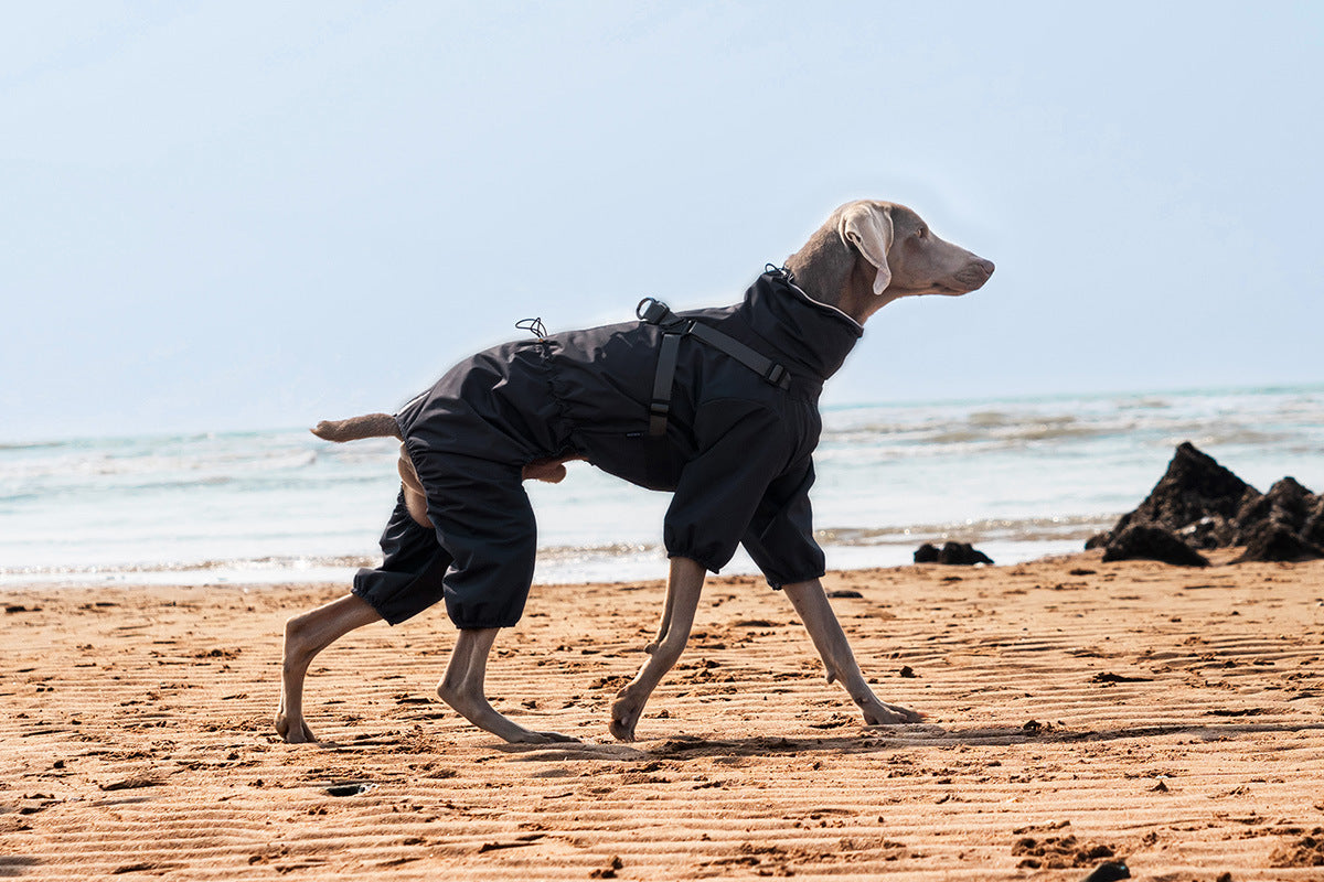 48513bec-d184-4873-a305-ab48fc86f8d5