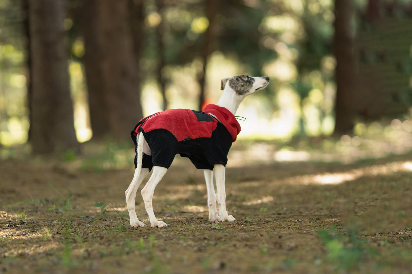 40b3ac36-1222-46d7-9464-de12d42530a9