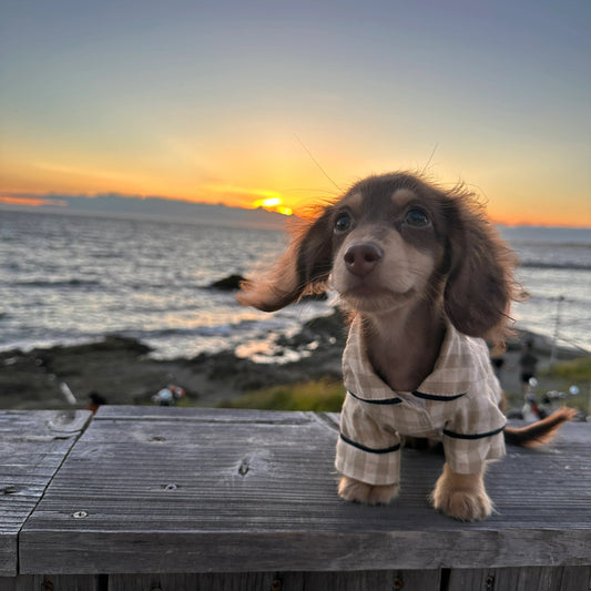 550dd66f-f92f-4025-aa01-1efe845a2f7d