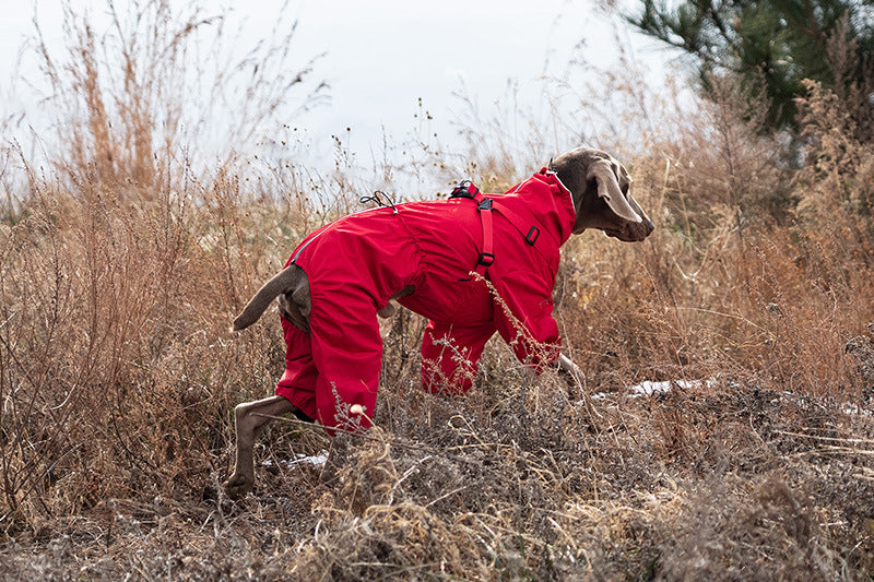 4a4433e0-201b-4356-a38c-73de6af7c187