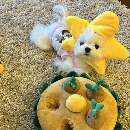Holiday Cute Cat and Dog Yellow Star Hat