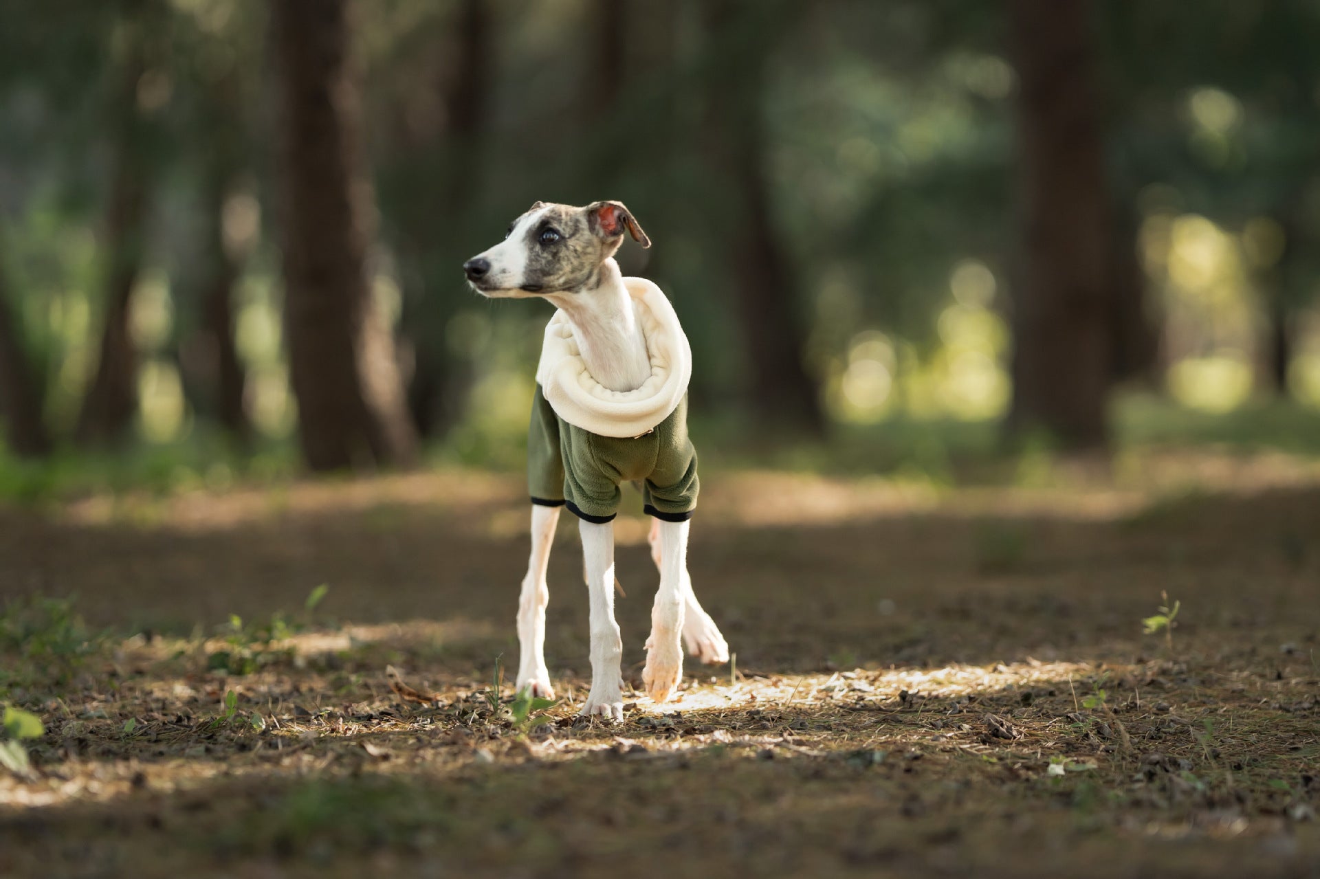 17b5a180-53d7-4c67-8294-5e1dfd7f553f