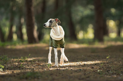 17b5a180-53d7-4c67-8294-5e1dfd7f553f