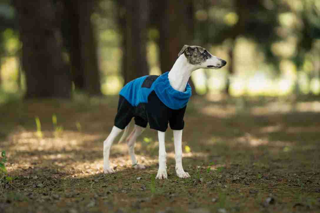 c271789d-cda8-4bd8-ba6a-63fd963fe9d8