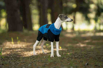 c271789d-cda8-4bd8-ba6a-63fd963fe9d8