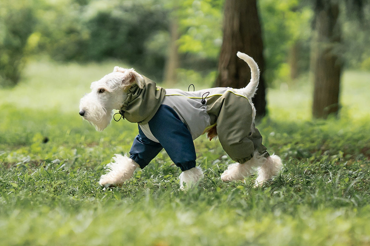 eae5a376-91a6-4f8d-859c-e2ce218d1b47