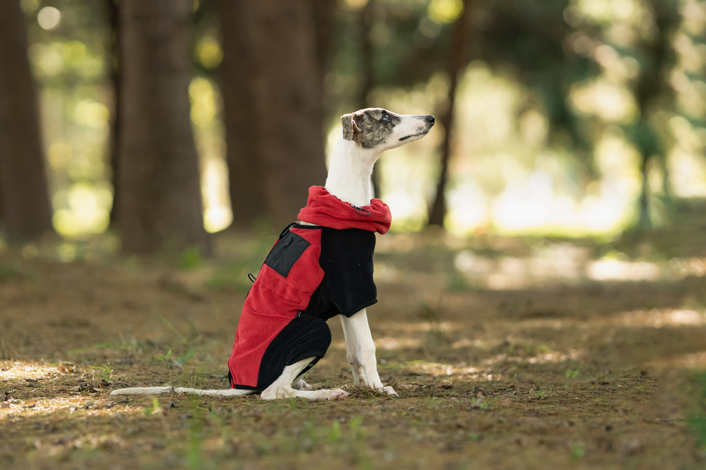 15c3bc18-809b-42ef-8ba5-c2dbf8398c53