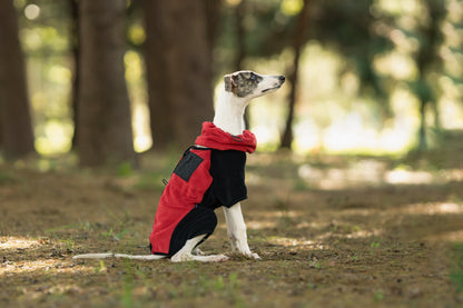 15c3bc18-809b-42ef-8ba5-c2dbf8398c53