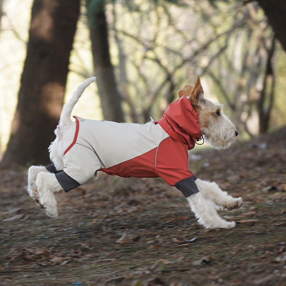 464f2e83-e130-4074-afee-6aa36849f498