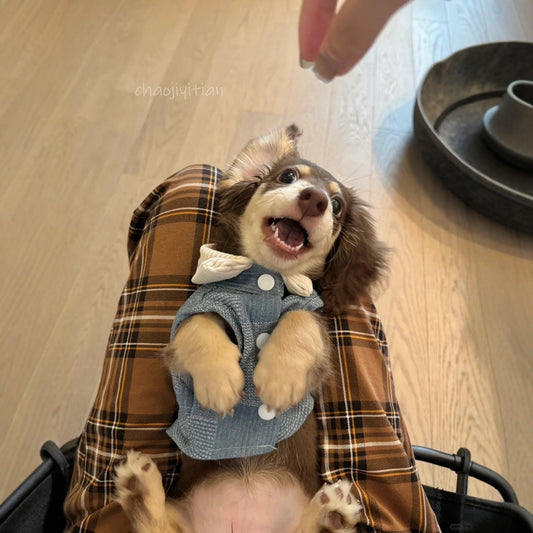 106613bb-6800-44e4-b449-d48dd6f11503