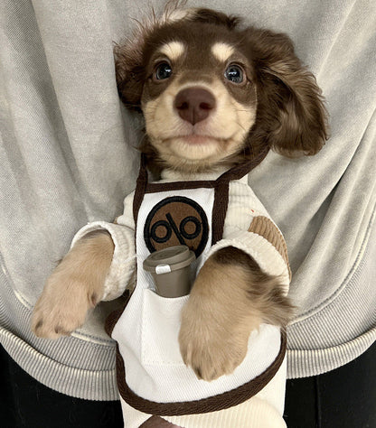 00ab16a7-e877-4562-bad0-ad6ed8c3fc73