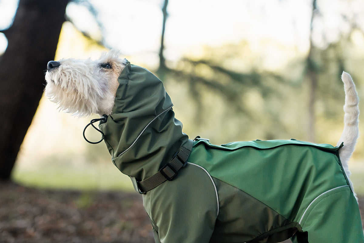 2f5e9a96-d2bb-4999-87ee-1760adaf31b7