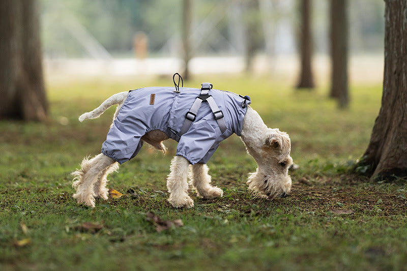 aac8906c-7b91-4319-84b0-5c08ff55cfe1