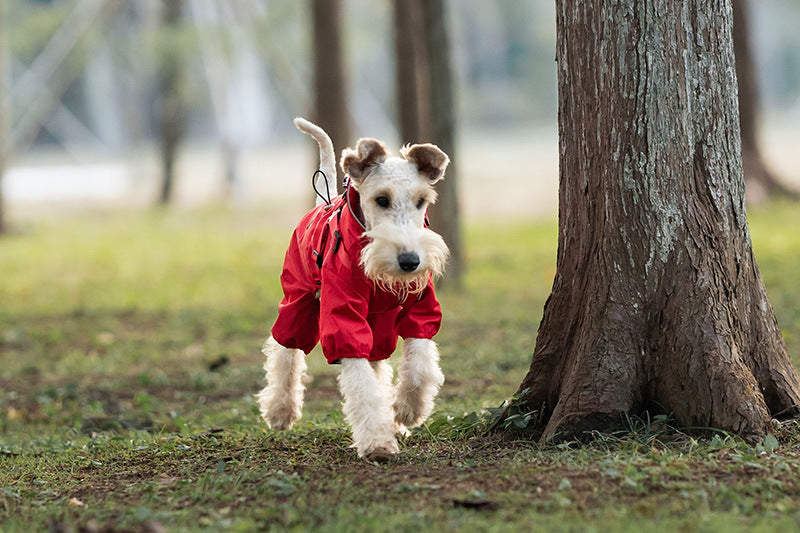 658e6168-b0b3-4c37-9552-bfbea0b6f7dc