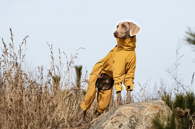 46d555f9-70c3-4495-b667-87a9a8b8168a