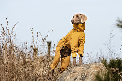 46d555f9-70c3-4495-b667-87a9a8b8168a