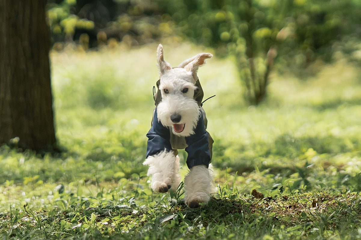 428531b7-6c4d-4b1a-ba1c-290eff4301bf