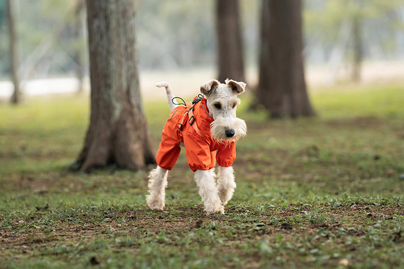 205072d1-9c83-4357-ac1f-42bb146c616d