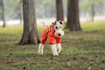 205072d1-9c83-4357-ac1f-42bb146c616d