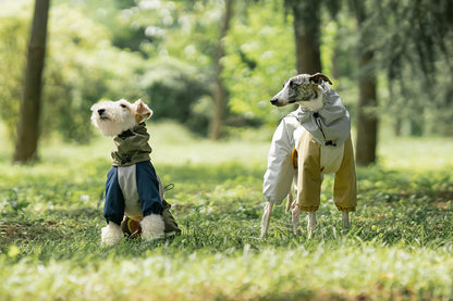 dc743360-f66d-4bb8-a335-63a5c61d3687