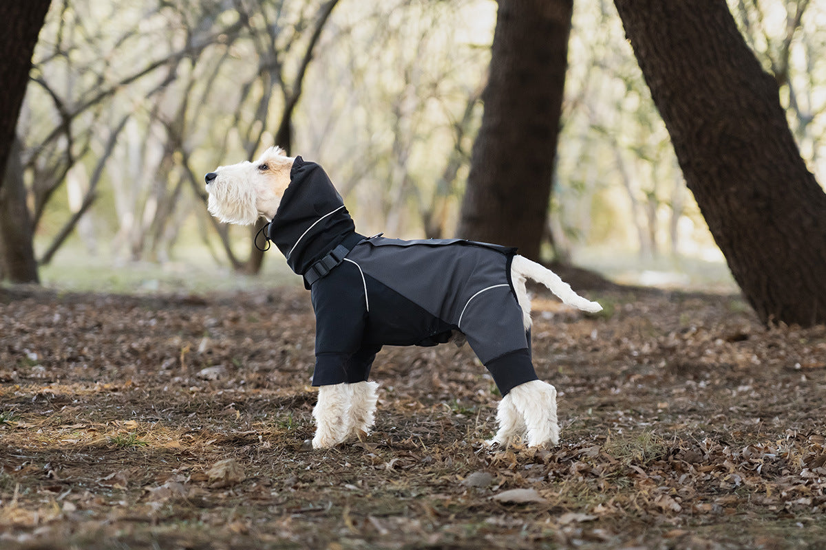 7197dd47-4b72-408f-b900-c4912dea4b8f