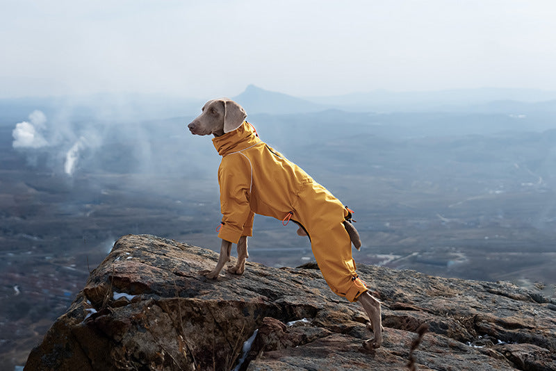 21fd31e4-0270-477d-8a91-f0471e639e6b