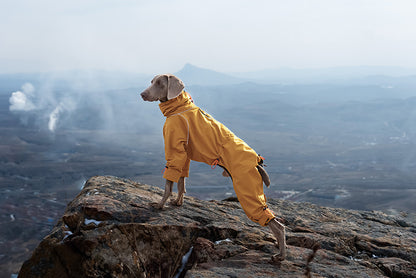 21fd31e4-0270-477d-8a91-f0471e639e6b