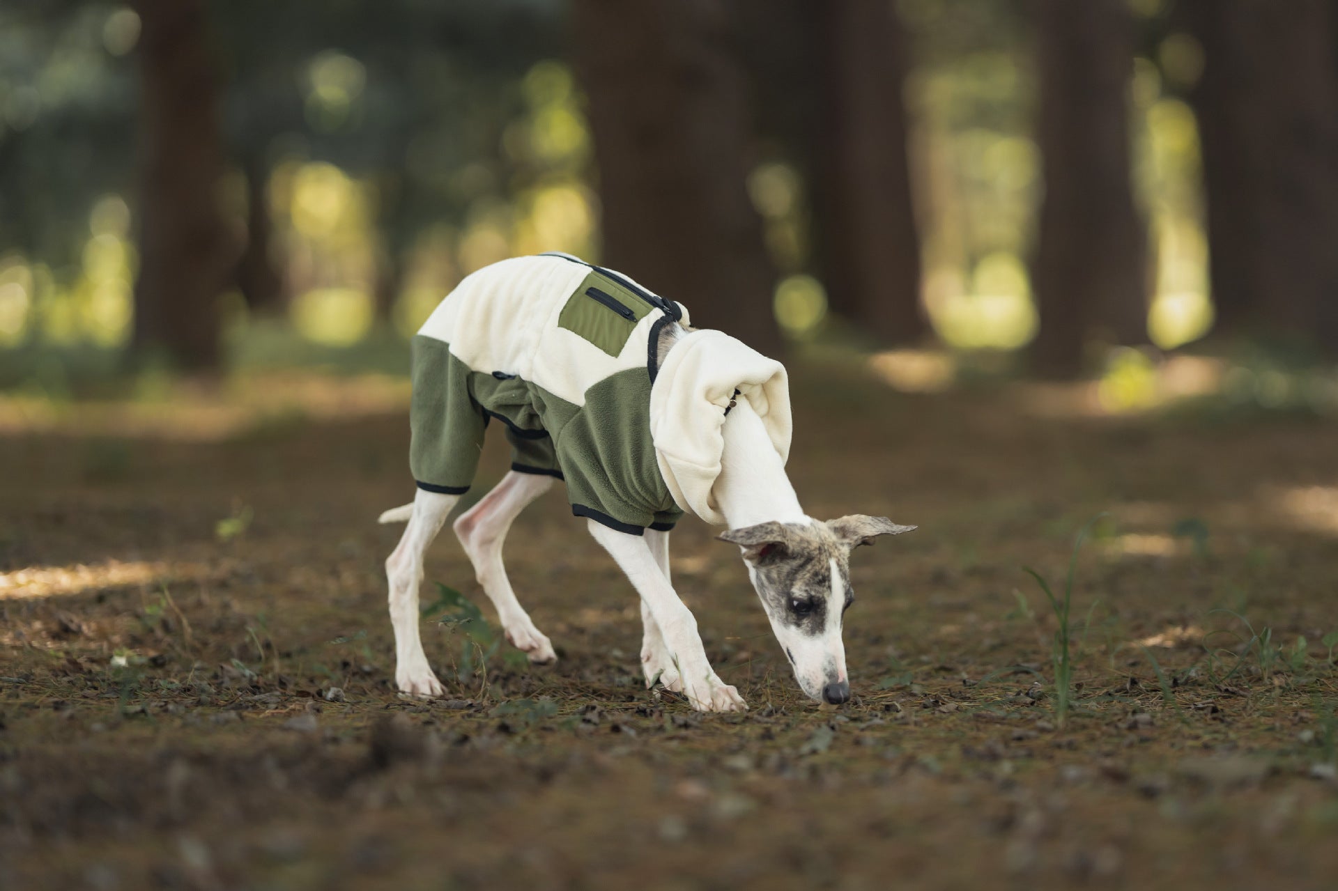 1b98e9d8-9929-4131-9cbe-5a815f477893