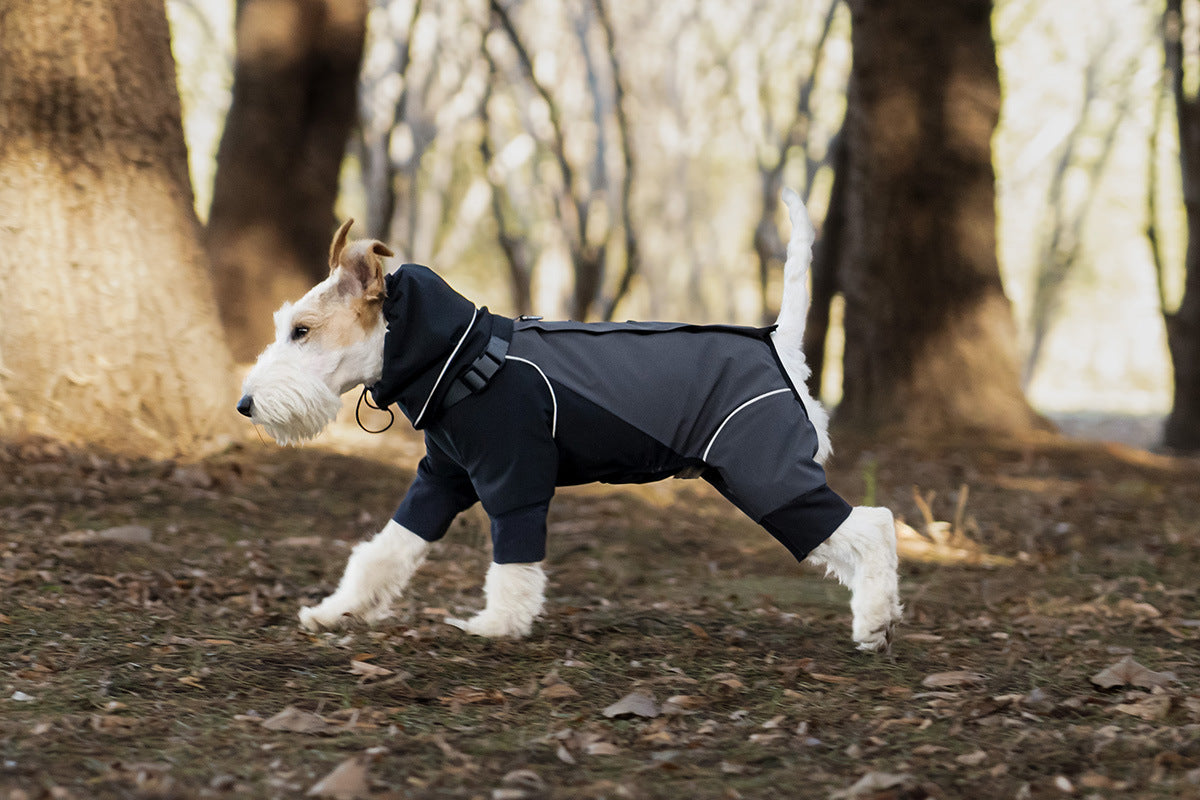 a440f69a-473e-4d6a-bca4-9b79ef4ee851