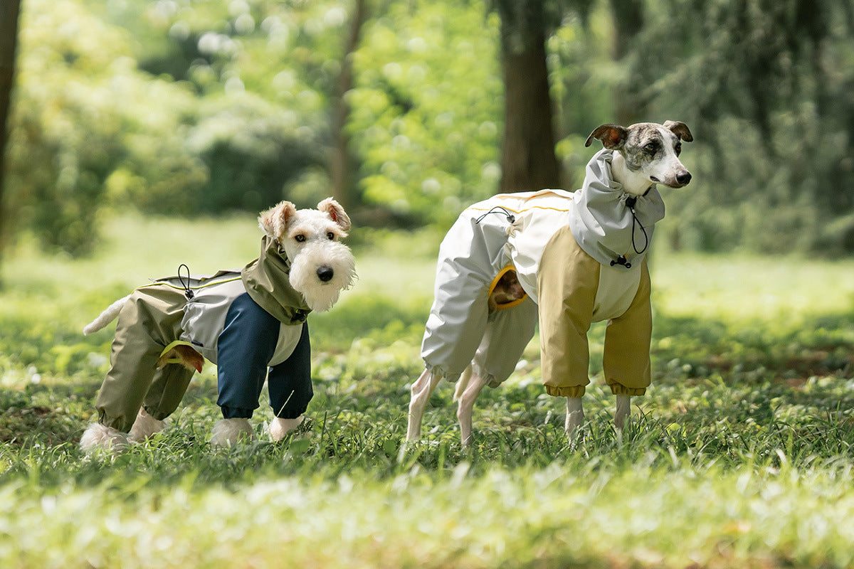 d4b5bca2-2481-4beb-accb-c75d690e5dce