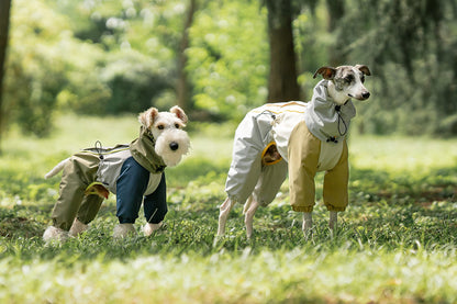 d4b5bca2-2481-4beb-accb-c75d690e5dce