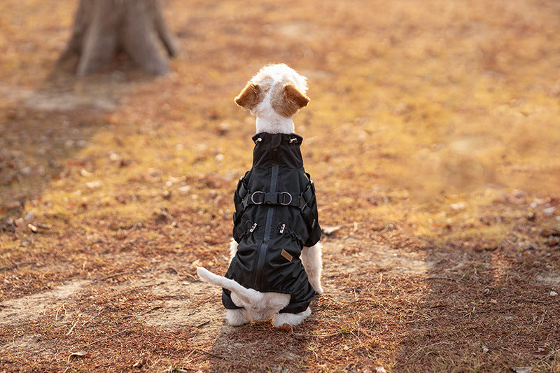 50ad2f06-b2ad-4aa9-9f41-0d5804edcec5