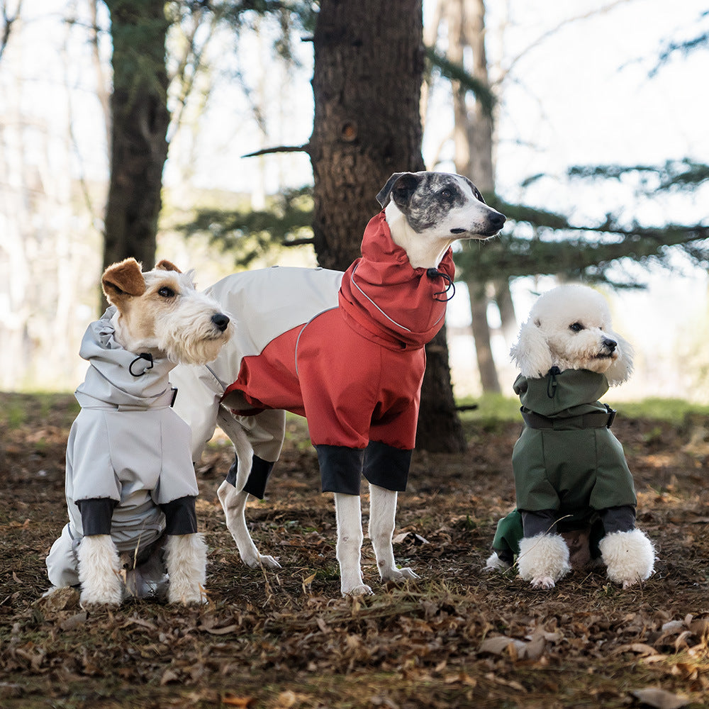 37f12532-1d7d-4463-8a8a-ddefe2adf621