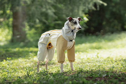 afcba9f4-79a3-4bdd-9e44-2ef5cd14e039