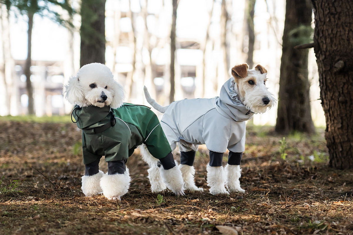 3fd8f58d-5348-4154-849c-e96be62ab096