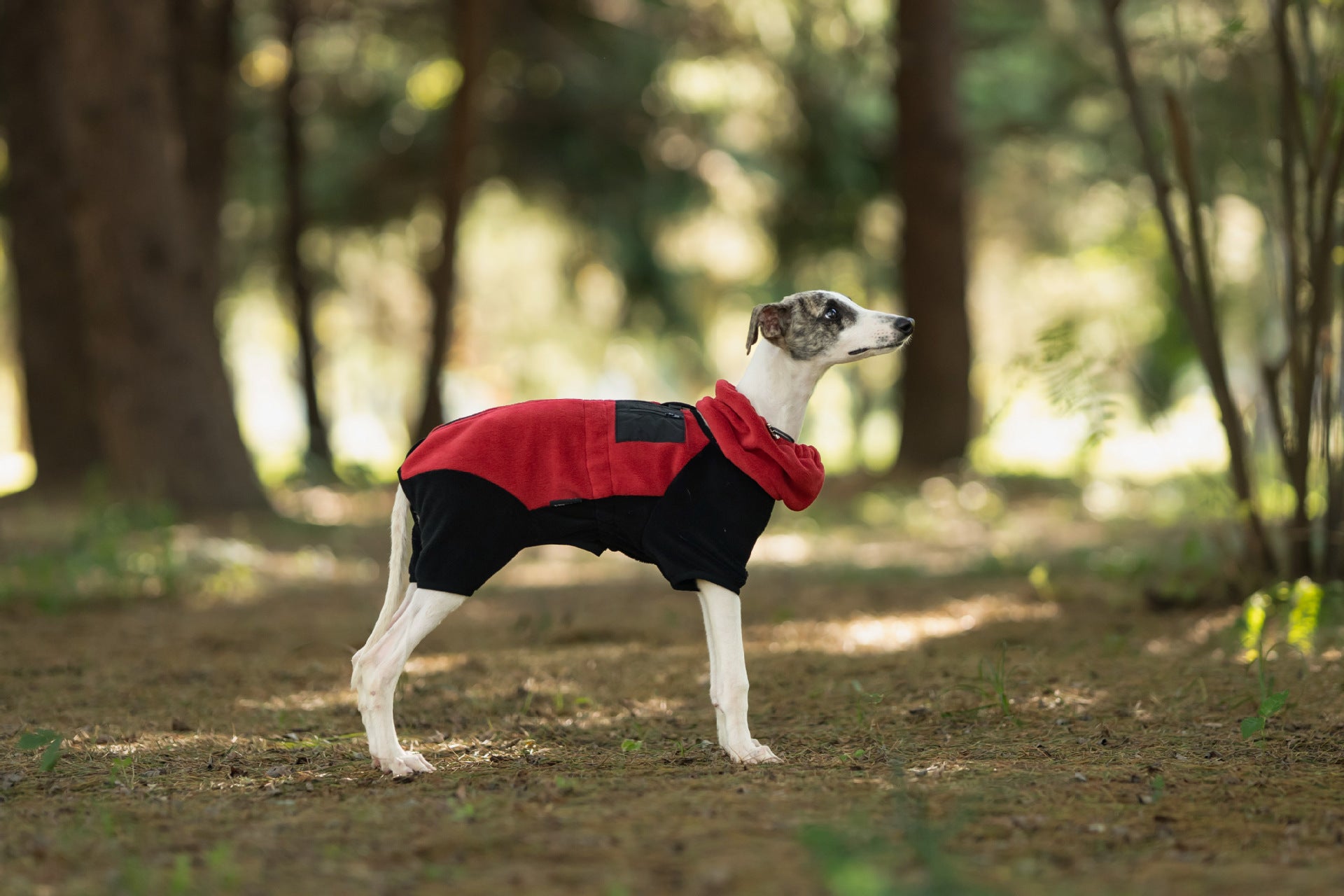 dc74574e-6968-4bb3-8731-74c37063b7e6