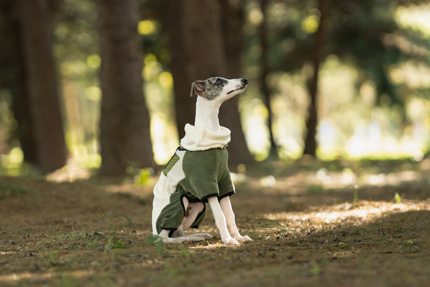 77ce6968-10cc-4161-9988-8c7483db2b8d