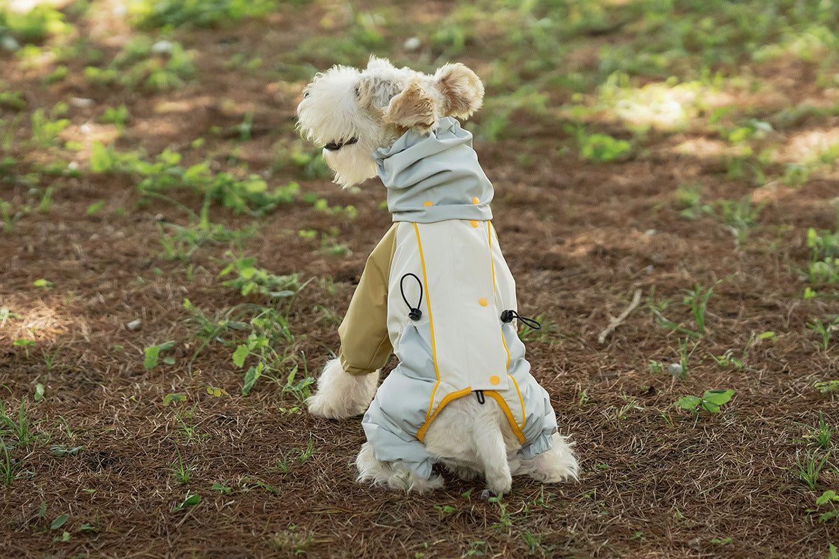 2b3cf0cd-50a2-4d90-889e-5adee49c5eb1