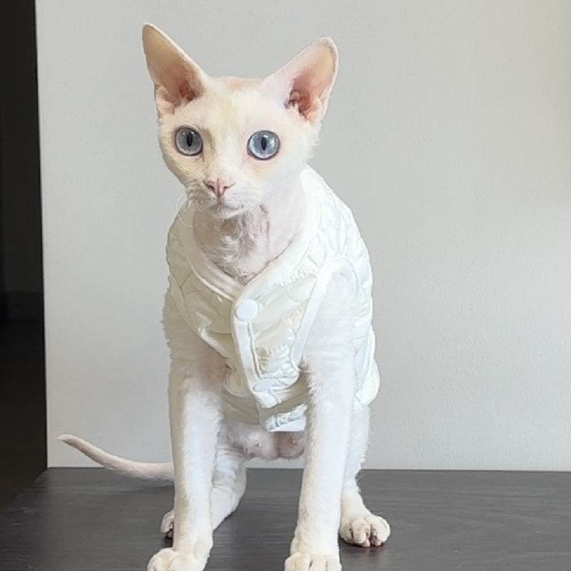 Double-Layer Cotton Vest Lint-Free Cat Clothes Devins Finks Pet Clothes Simple Embroidered Autumn and Winter New Vest