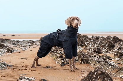 511fbed4-76b2-4f0c-84a1-9e901f798a87